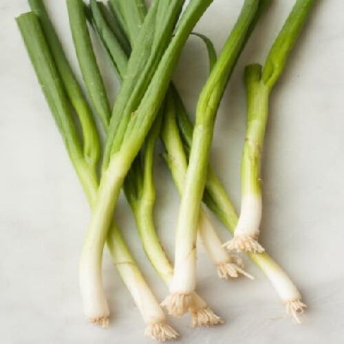 Healthy and Natural Fresh Green Onion