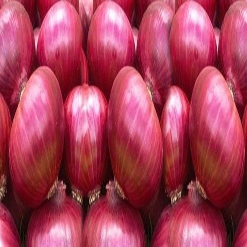 Round Healthy And Natural Fresh Red Onion