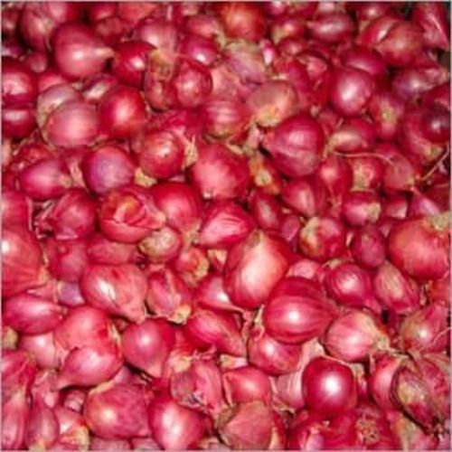 Healthy and Natural Fresh Small Red Onion