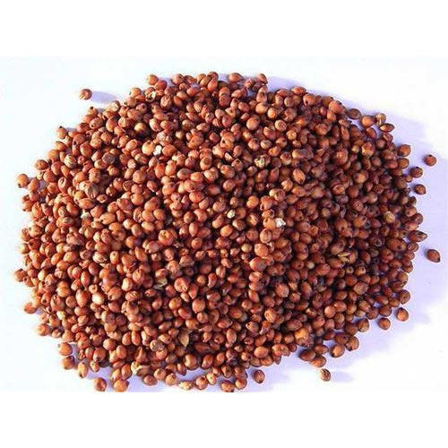 Healthy and Natural Red Jowar Seeds