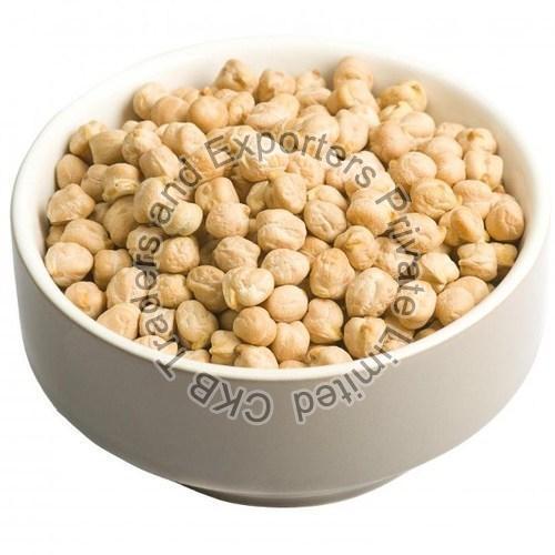 Healthy And Natural White Chickpeas Grain Size: Standard