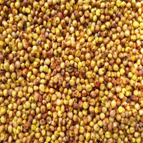 Healthy And Natural Yellow Jowar Seeds