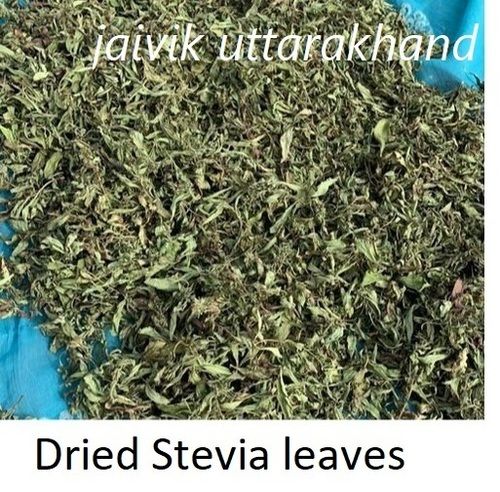 Green Top Grade Organic Stevia Dry Leaves