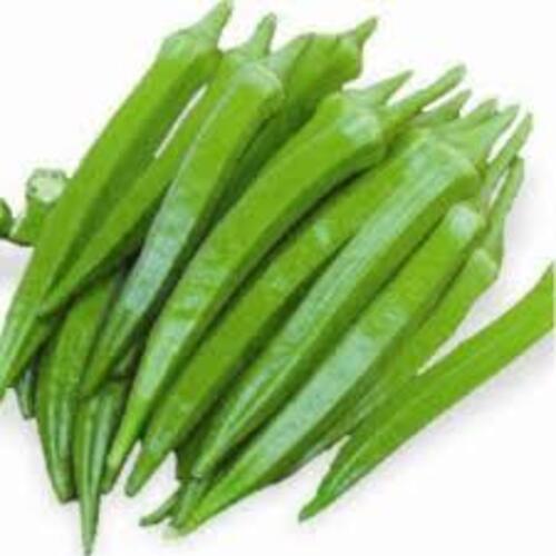 Healthy And Natural Fresh Okra