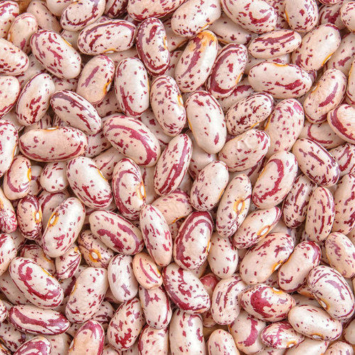 Light Speckled Pinto Red Sugar Kidney Beans Broken Ratio (%): 2