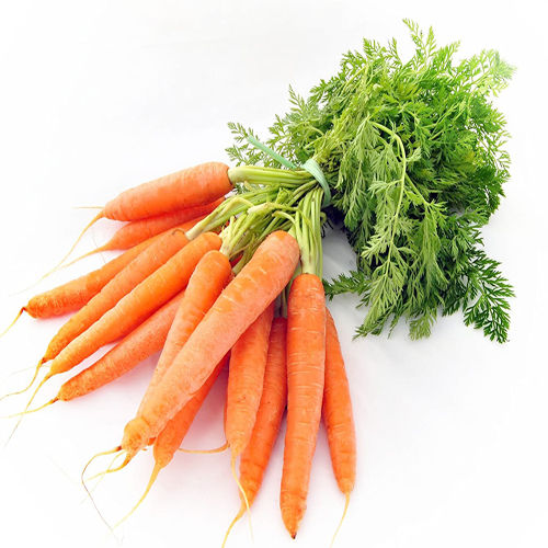 Healthy and Natural Fresh Carrot