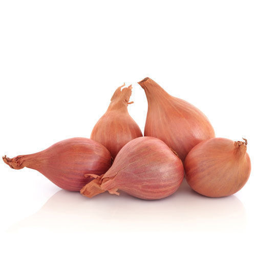 Healthy and Natural Fresh Shallots Onions