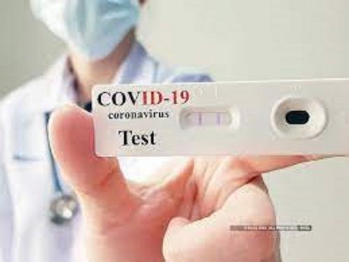 Covid-2019 Antigen Test Kit Light Source: No