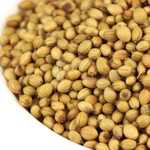 Organic Healthy And Natural Whole Coriander Seeds