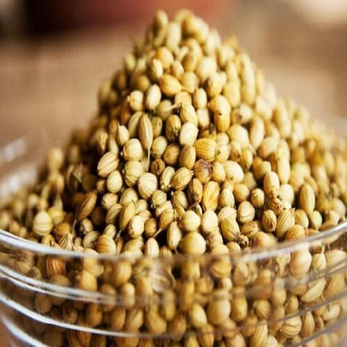 Healthy and Natural Coriander Seeds