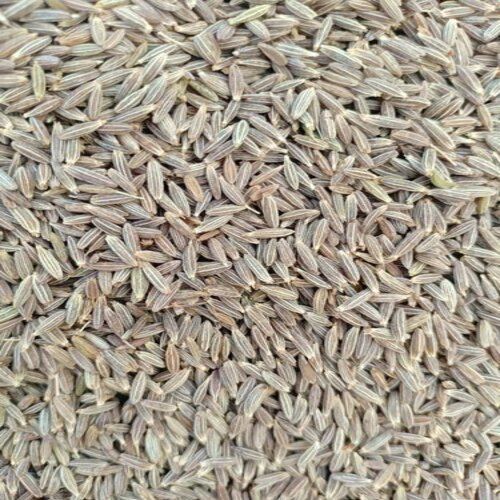 Healthy and Natural Cumin Seeds