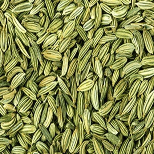 Green Healthy And Natural Fennel Seeds