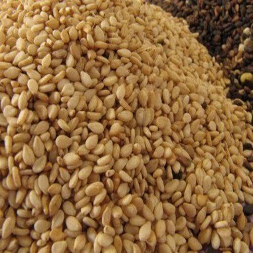 Healthy and Natural Golden Sesame Seeds