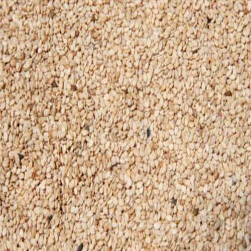 Healthy and Natural Raw Sesame Seeds