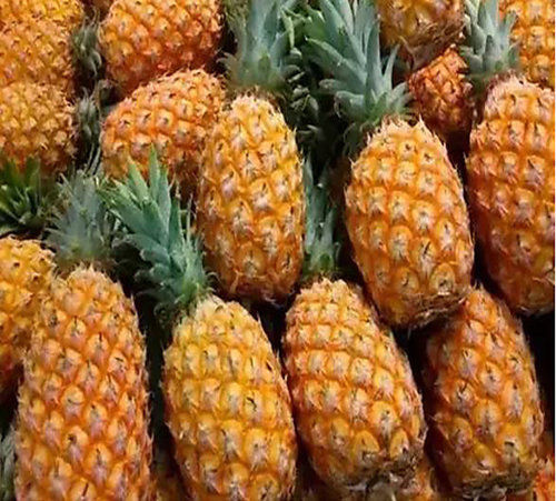 Healthy and Natural Fresh Pineapple