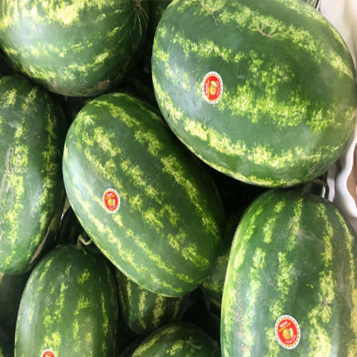 Healthy And Natural Fresh Watermelon Size: Standard