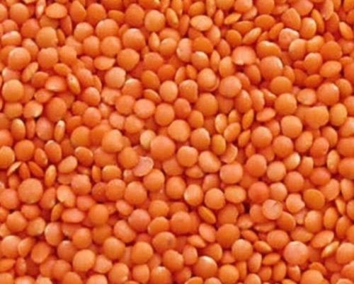 Common Chemical Free Masoor Dal