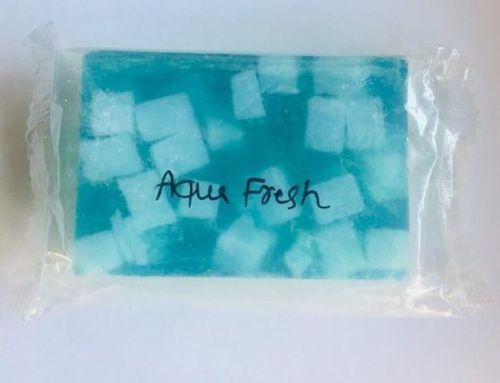Mint Cool Aqua Menthol Bath Soap