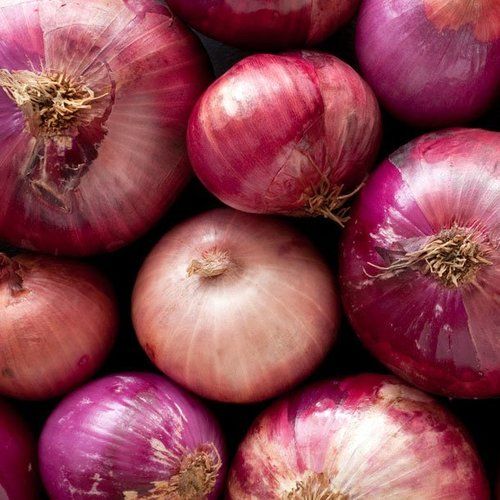 Fresh Round Shape Red Onion