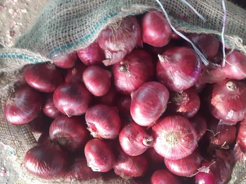 Farm Fresh Onion (Round Shape)