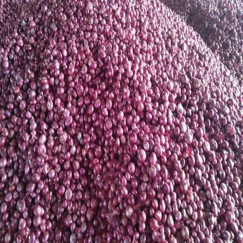 Healthy and Natural Fresh Red Onion