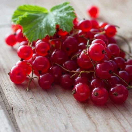 Organic Fresh Whole Cherries - Standard Size, Red Color | 100% Pure, Juicy, Rich in Taste, Food Grade for Human Consumption