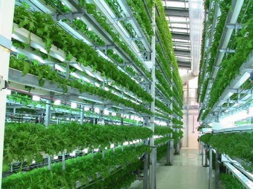 Indoor Vertical Farming Aeroponic Growing System