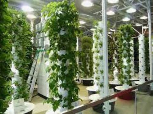 Indoor Vertical Farming Aeroponic Growing System Base Material: Plastic