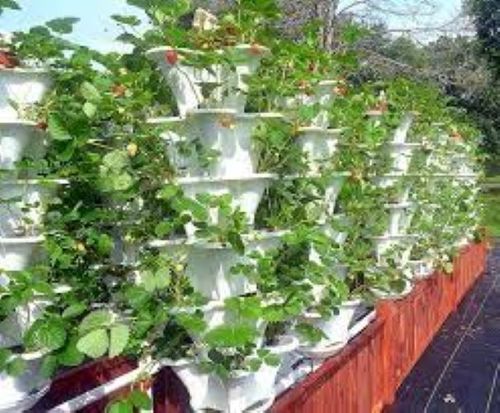 Indoor Vertical Farming Aeroponic Growing System Base Material: Plastic