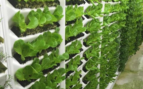 Indoor Vertical Farming Aeroponic Growing System Base Material: Plastic