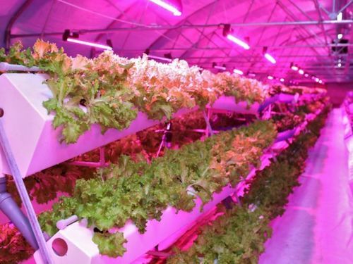 Indoor Vertical Farming Aeroponic Growing System Base Material: Plastic