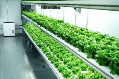 Indoor Vertical Farming Aeroponic Growing System