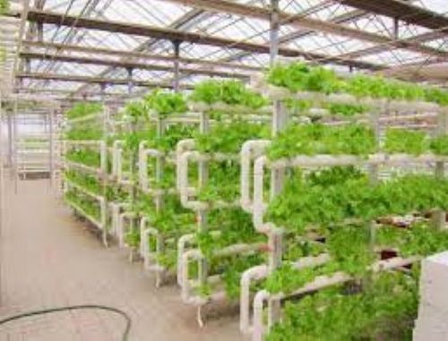 Indoor Vertical Farming Aeroponic Growing System Base Material: Plastic