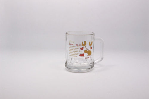 Decal Frosted Glass Mug