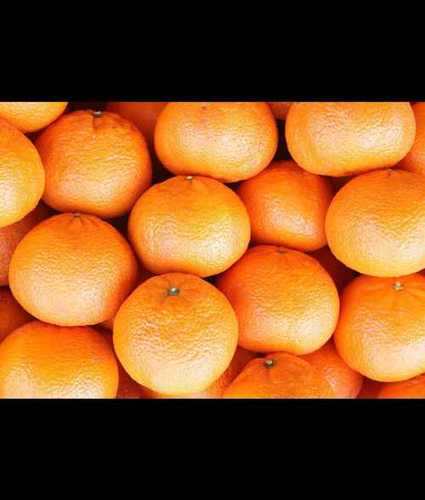 Fresh Quality Orange