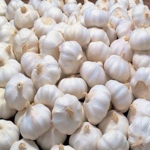 Healthy and Natural Fresh Garlic