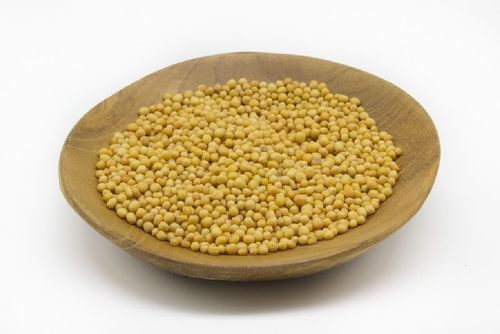 Healthy and Natural Organic Mustard Seeds