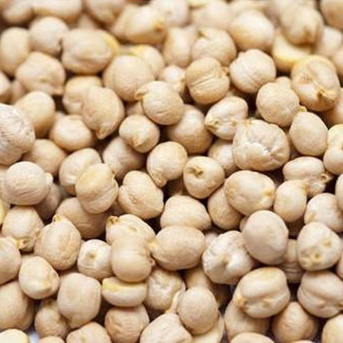 Organic Healthy And Natural White Chickpeas