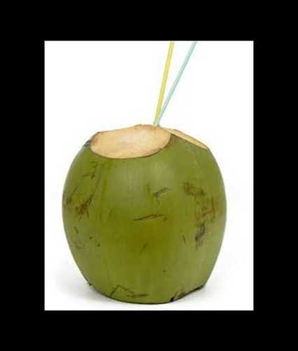 Green A Grade Pure Coconut 