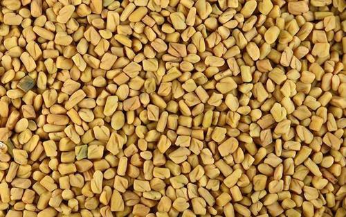 Healthy and Natural Fenugreek Seed