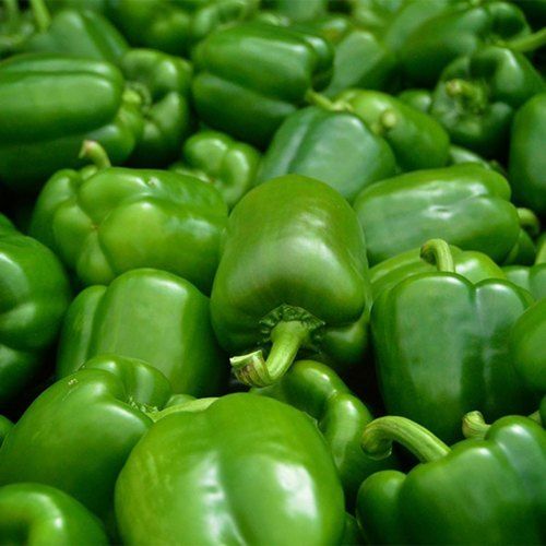 A Grade Fresh Green Bell Pepper