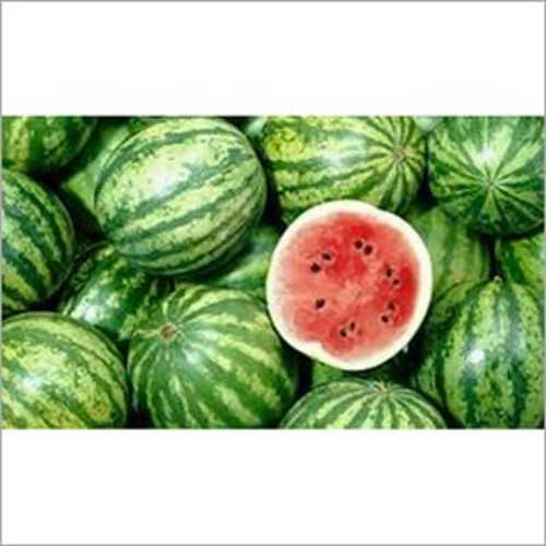 Green Fresh Water Melon Fruit