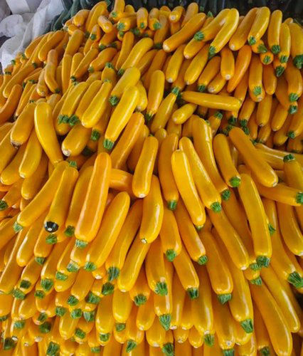 Green Yellow A Grade Zucchini