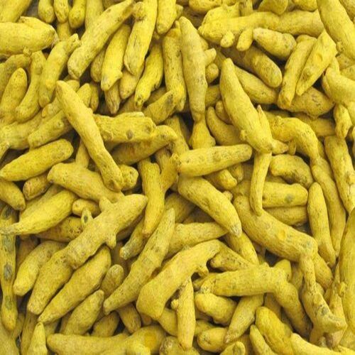 Yellow Healthy And Natural Turmeric Finger