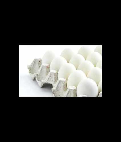 White Fresh Poultry Eggs