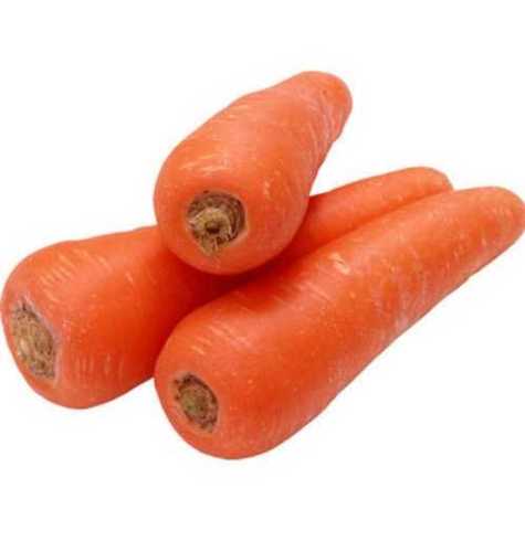 Round A Grade Fresh Carrot Vegetables