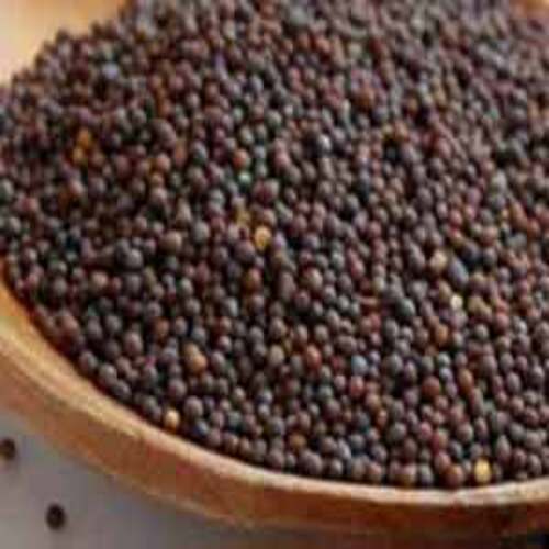 Healthy and Natural Mustard Seeds