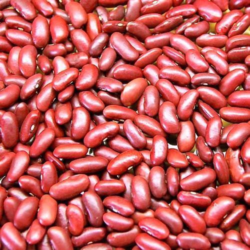 Organic Healthy And Natural Red Kidney Beans