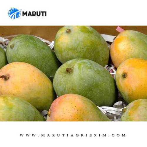 Yellow Color Kesar Mango