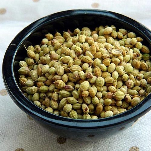 Healthy And Natural Coriander Seeds Grade: Food Grade